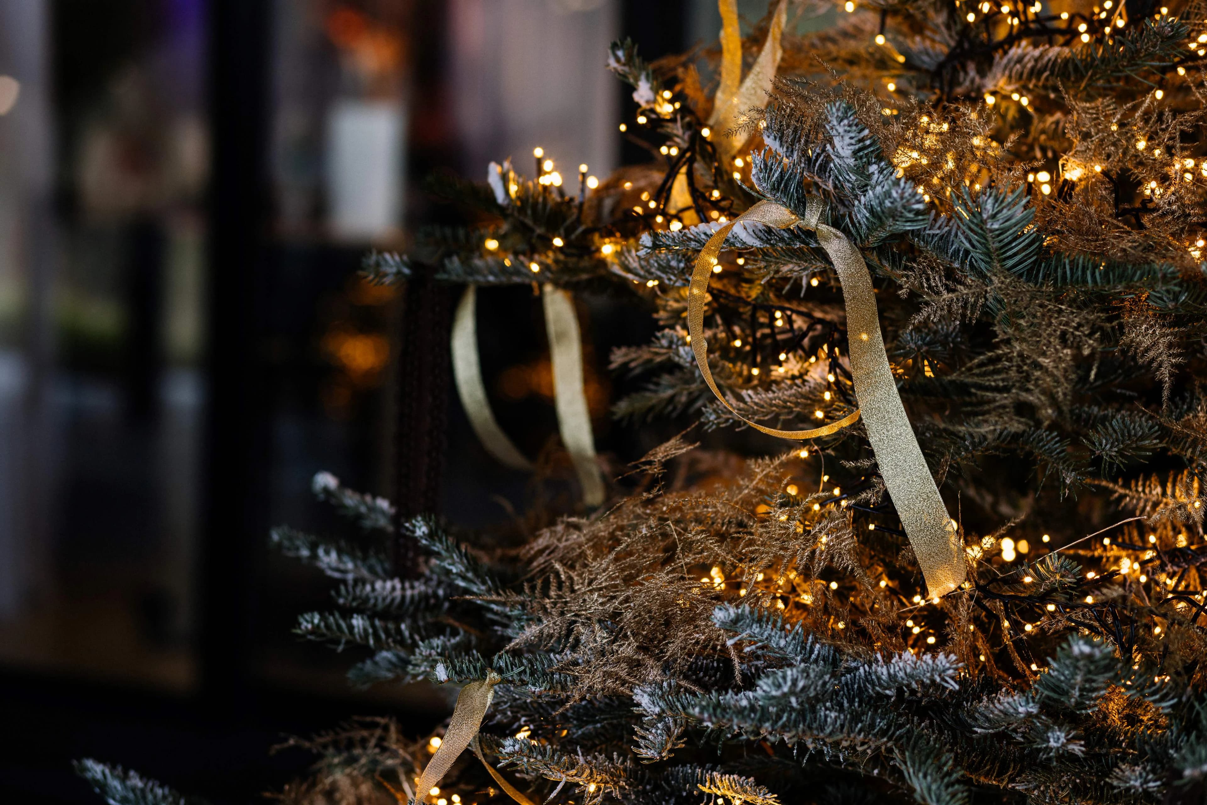 winterevent locatie decoratie kerstboom